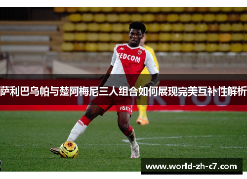 萨利巴乌帕与楚阿梅尼三人组合如何展现完美互补性解析