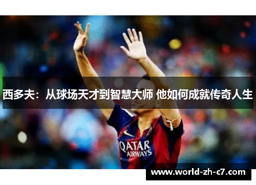 西多夫：从球场天才到智慧大师 他如何成就传奇人生