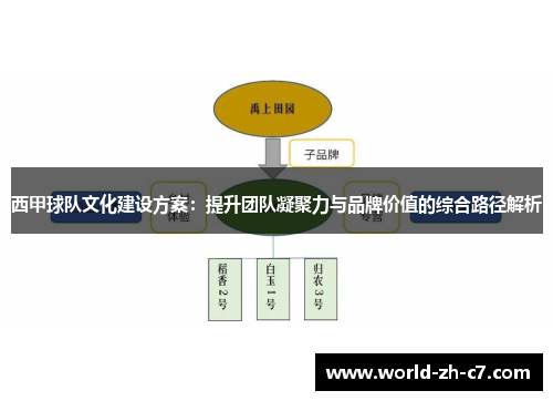 西甲球队文化建设方案：提升团队凝聚力与品牌价值的综合路径解析