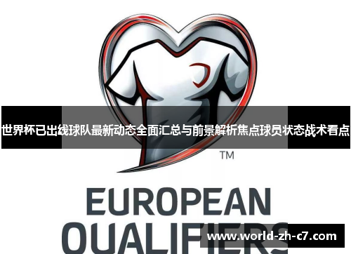 世界杯已出线球队最新动态全面汇总与前景解析焦点球员状态战术看点