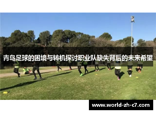青岛足球的困境与转机探讨职业队缺失背后的未来希望